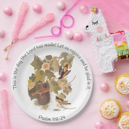 Baltimore Oriole Audubon Birds in Poplar Tree Papieren Bordje (Feest)