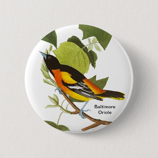 Baltimore Oriole, Audubon, Birdwatcher Accessory; Ronde Button 5,7 Cm (Voorkant)