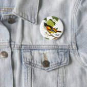 Baltimore Oriole, Audubon, Birdwatcher Accessory; Ronde Button 5,7 Cm (In situ)