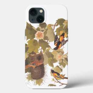 Baltimore Oriole Audubon Vogelgezin met Nest Case-Mate iPhone Case