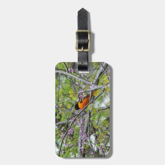 Baltimore Oriole Bagagelabel (Voorkant verticaal)