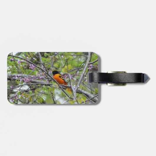 Baltimore Oriole Bagagelabel (Achterkant horizontaal)