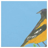 Baltimore Oriole Bird Blue Stof (Close Up)