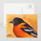 Baltimore Oriole Bird Briefkaart (Voorkant / Achterkant)