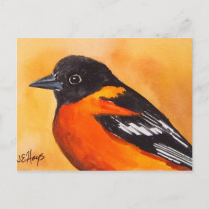 Baltimore Oriole Bird Briefkaart