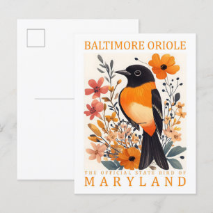 Baltimore Oriole Bird of Maryland Verenigde Staten Briefkaart