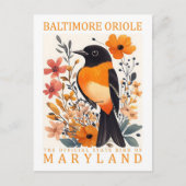 Baltimore Oriole Bird of Maryland Verenigde Staten Briefkaart (Voorkant)