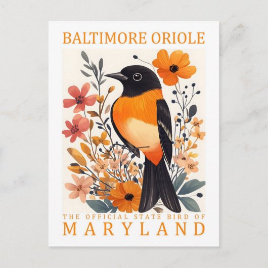 Baltimore Oriole Bird of Maryland Verenigde Staten Briefkaart (Voorkant)