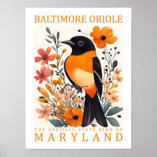Baltimore Oriole Bird of Maryland Verenigde Staten Poster