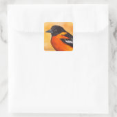 Baltimore Oriole Bird Sticker (Tas)