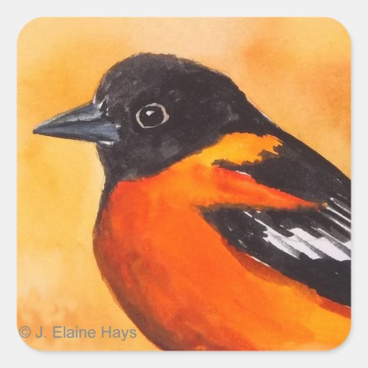 Baltimore Oriole Bird Sticker (Voorkant)