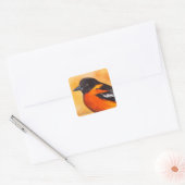 Baltimore Oriole Bird Sticker (Envelop)