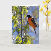 Baltimore Oriole Blank Note Card Kaart (Gele Bloem)
