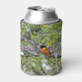 Baltimore Oriole Blikjeskoeler (Blikje Voorkant)