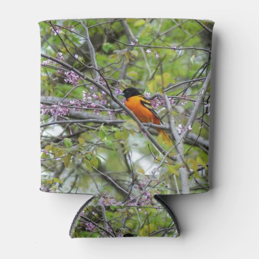 Baltimore Oriole Blikjeskoeler (Voorkant)