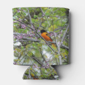 Baltimore Oriole Blikjeskoeler (Achterkant)