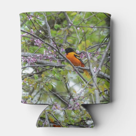 Baltimore Oriole Blikjeskoeler (Achterkant)