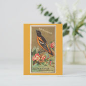 Baltimore Oriole Briefkaart (Staand voorkant)