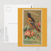 Baltimore Oriole Briefkaart (Voorkant / Achterkant)