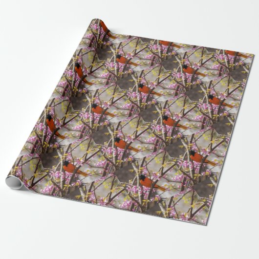 Baltimore Oriole Cadeaupapier (Uitgerold)