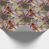 Baltimore Oriole Cadeaupapier (Hoek)