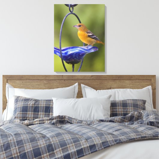 Baltimore Oriole Canvas Afdruk (Insitu (Slaapkamer))