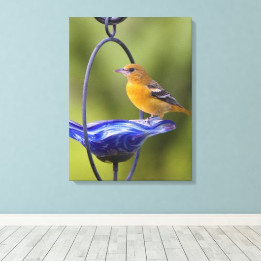 Baltimore Oriole Canvas Afdruk (Insitu (Houten vloer))