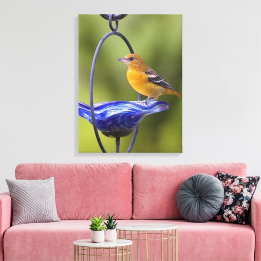 Baltimore Oriole Canvas Afdruk (Insitu (Woonkamer))