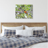 Baltimore Oriole Canvas Afdruk (Insitu (Slaapkamer))