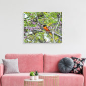 Baltimore Oriole Canvas Afdruk (Insitu (Woonkamer))