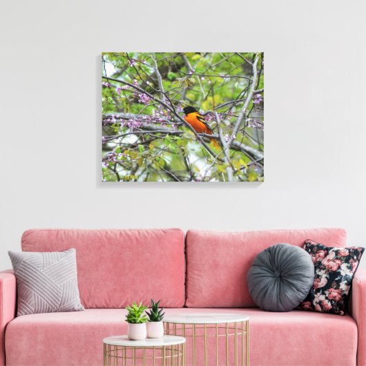 Baltimore Oriole Canvas Afdruk (Insitu (Woonkamer))