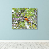 Baltimore Oriole Canvas Afdruk (Insitu (Houten vloer))