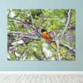 Baltimore Oriole Canvas Afdruk (Insitu (Houten vloer))