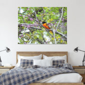 Baltimore Oriole Canvas Afdruk (Insitu (Slaapkamer))