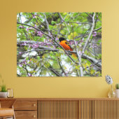 Baltimore Oriole Canvas Afdruk (Insitu (Woonkamer))