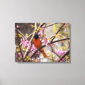 Baltimore Oriole Canvas Afdruk (Voorkant)