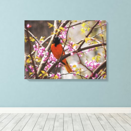 Baltimore Oriole Canvas Afdruk (Insitu (Houten vloer))