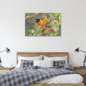 Baltimore Oriole Canvas Afdruk (Insitu (Slaapkamer))