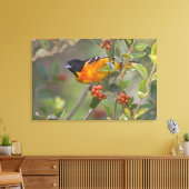 Baltimore Oriole Canvas Afdruk (Insitu (Woonkamer))