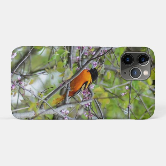 Baltimore Oriole Case-Mate iPhone Case (Achterkant (horizontaal))