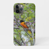 Baltimore Oriole Case-Mate iPhone Case (Achterkant)