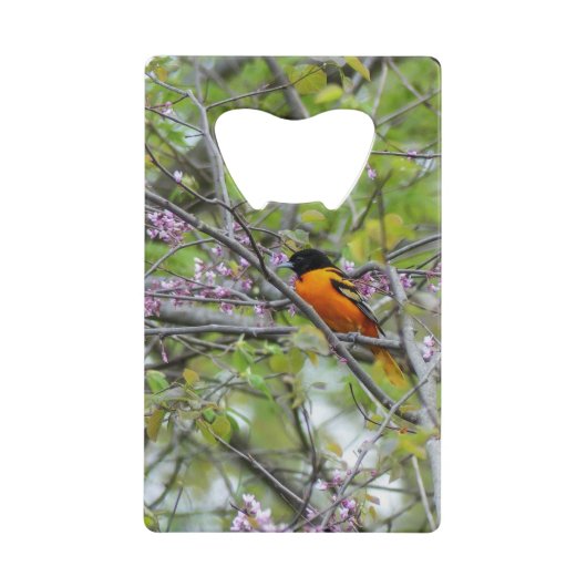 Baltimore Oriole Creditkaart Flessenopener (Voorkant)