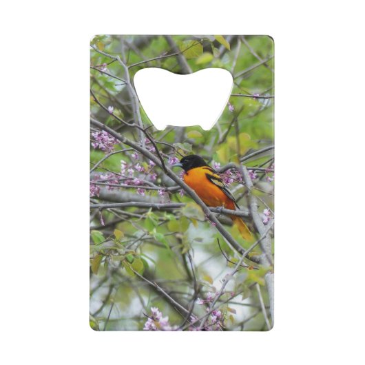 Baltimore Oriole Creditkaart Flessenopener (Achterkant)