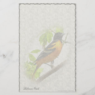 Baltimore Oriole Custom Stationery Briefpapier