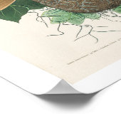 Baltimore Oriole door het Poster Audubon (Hoek)