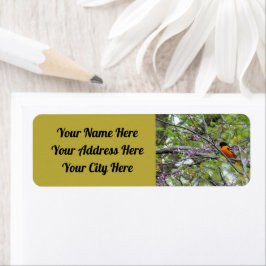 Baltimore Oriole Etiket