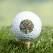 Baltimore Oriole Golfballen (Insitu Shirt)