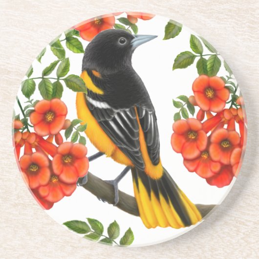 Baltimore Oriole in Trumpet Vines Onderzetter (Voorkant)
