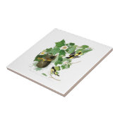 Baltimore Oriole John James Audubon Birds America Tegeltje (Zijkant)