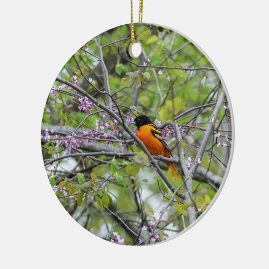 Baltimore Oriole Keramisch Ornament (Links)